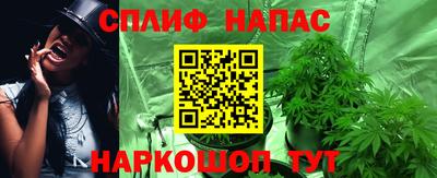 меф Гатчина