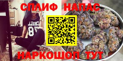 меф Гатчина