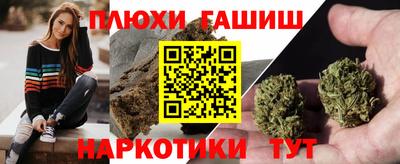 меф Гатчина