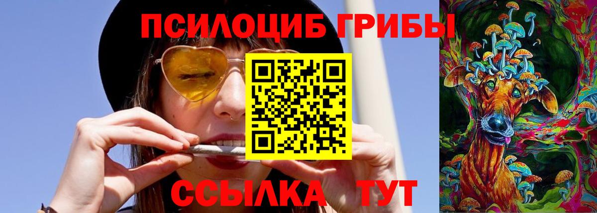 Галлюциногенные грибы GOLDEN TEACHER  что такое   Галлюциногенные грибы мухоморы  Ноябрьск  Вход с VPN 